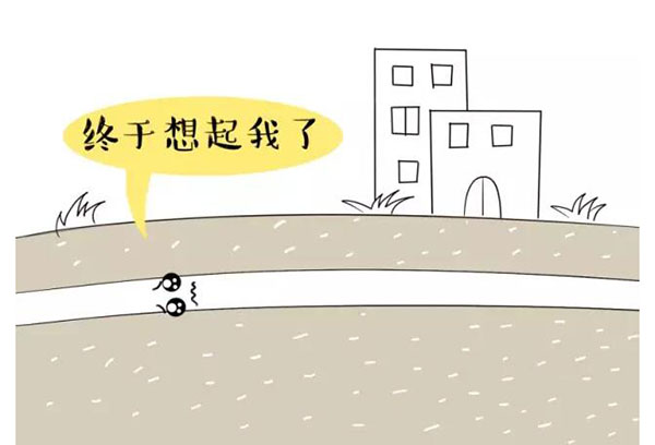 萌萌哒漫画告诉你,地下樱花草在线播放WWW日本视频电缆究竟是种什么存在